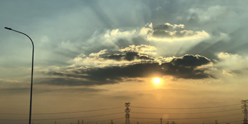 横峰小二技术优势